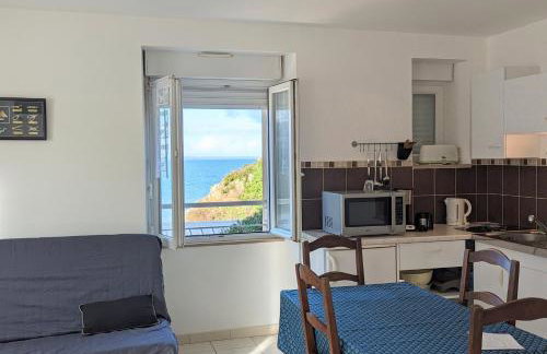 Appart vue mer-au pied du chemin de randonnée " Bassan" - Foto 31