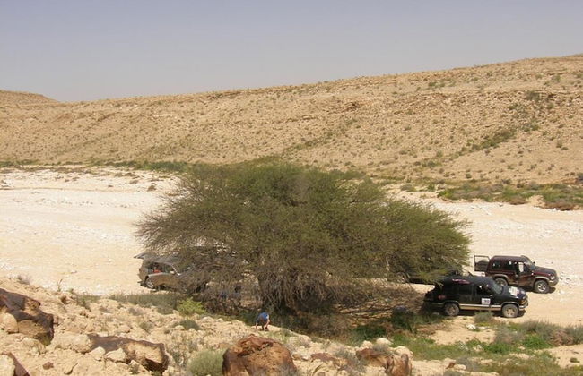 Hadass Desert Inn - Foto 42