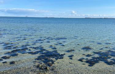 Ferienwohnungen Kapitänskajüte & Ausguck - Foto 35