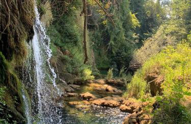 Villa Stone Medal - Photo 9