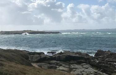 Vitamine Sea - Photo 15