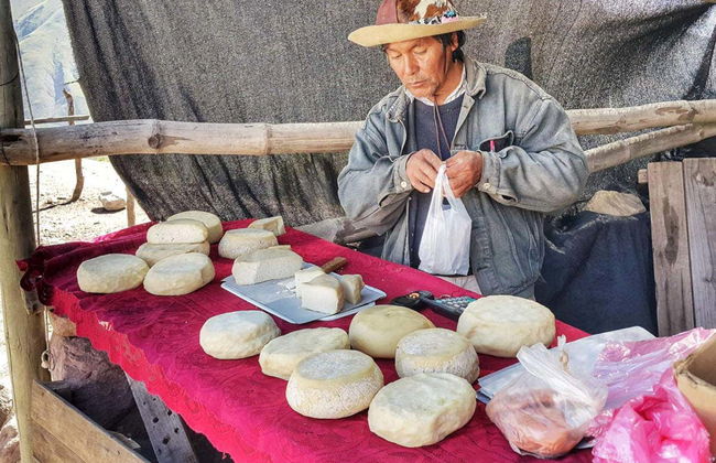Excursión a Cachi - Foto 4