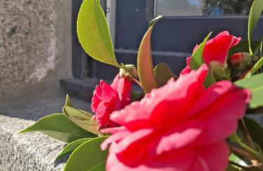 Gite Mont Saint Michel Chez Pépé Lucien - Foto 27