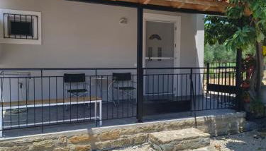 Avocado house - Photo 5