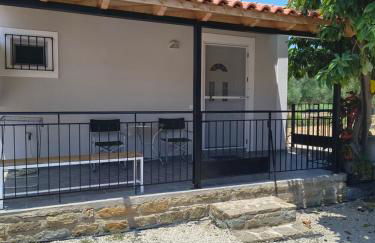 Avocado house - Photo 5