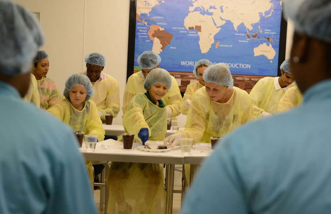 Visita a la fábrica de chocolate Graycliff - Foto 7