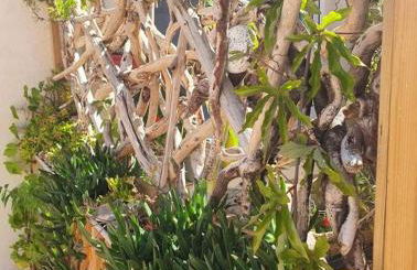 T2 cosy à la plage, terrasse vue sur mer et parking privatif - Photo 21