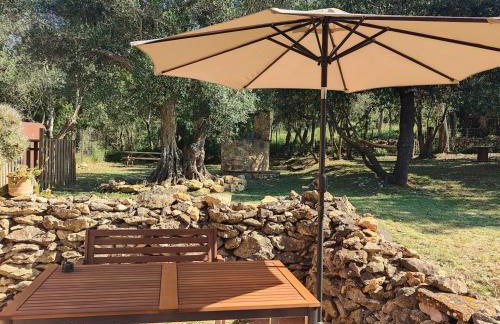 Can Costals Olivo - Foto 22