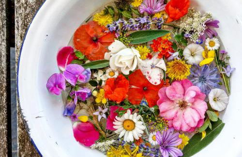 Agriturismo La Fontaccia - Foto 21