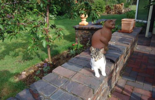 Apartment in ruhiger Lage am Waldrand by Interhome - Photo 16