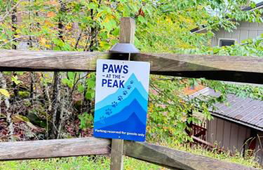 Paws at the Peak - Foto 31