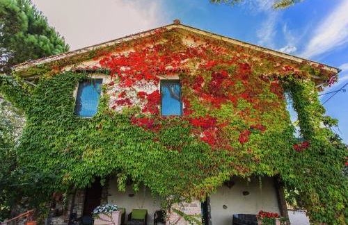 Farmhouse in Marsciano with vineyards olive groves - Foto 24