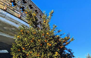 Country House 3Quatrì - Foto 31