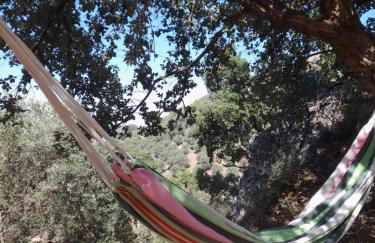 Olive -Casa da Boavista - Foto 8