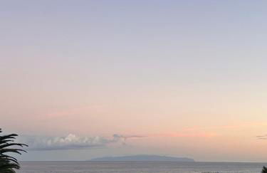 Salitre Tea - Foto 5