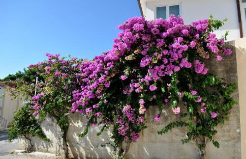 Villa Tomislav 2 - Foto 13