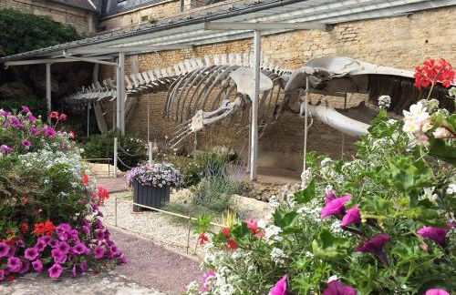 Le Caprice de la mer - maison avec véranda, jardin - Photo 38