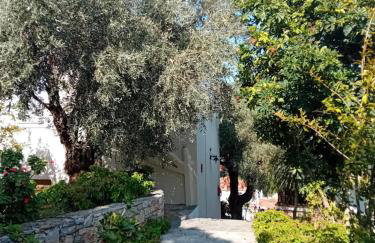 Katias Villa - Foto 28