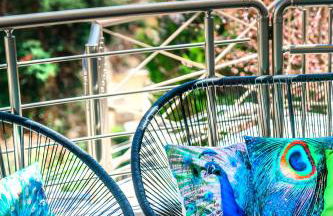 Sea Breeze Flat - Foto 19