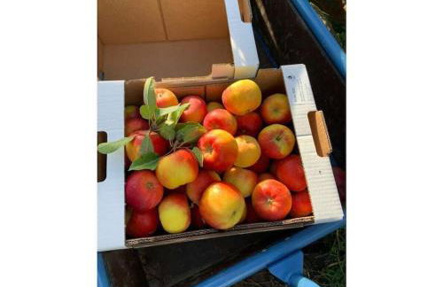 Holiday home with 1 bedroom - Foto 11