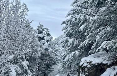 Apartaran 407 con terraza - Foto 4