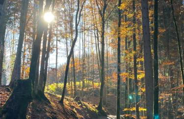 Landhaus am Schneewittchenberg - Foto 38