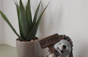 Ferienhaus Polly - Foto 30