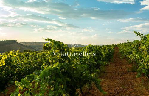 Casale degli Erei - Photo 10