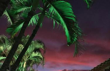 Pousada Terra Prometida - Foto 50