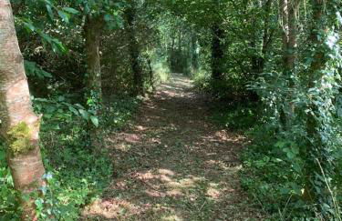 Wild Coastal Retreat at Troed Y Rhiw Aberporth, West Wales - Foto 49