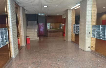 Fabiola Zentro - Foto 27