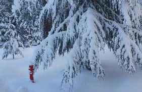 Il Rifugio di Greta - Foto 19