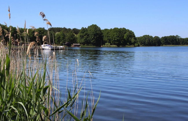 Ferienhaus am Vilzsee, Mirow - Photo 22