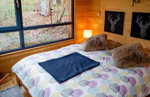 Lovely Home In Labaroche With Sauna - Photo 12