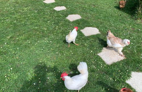 Gîte "Le Refuge" Dans un Domaine de 7ha Au Calme - Foto 14