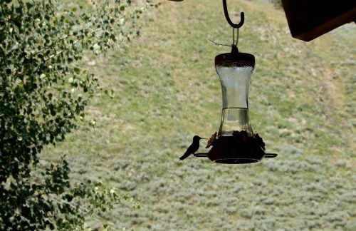 Historic Alpine Lodge Rental near Jackson Hole, Wyoming - Photo 17