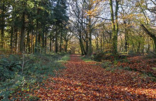 Sherway Shippen - Photo 41