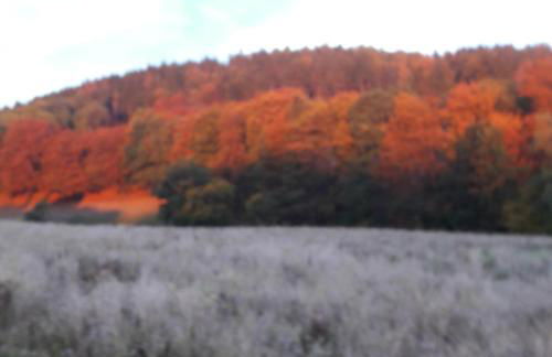 Ferienwohnung am Vogler - Foto 26