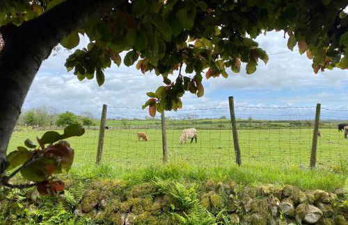 Hendy Cottage - Photo 19