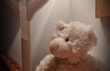 NaszjestWasz - Foto 38