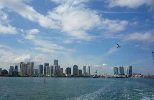 Excursión a los Everglades + Paseo en barco por Las Casas de los Famosos - Foto 3