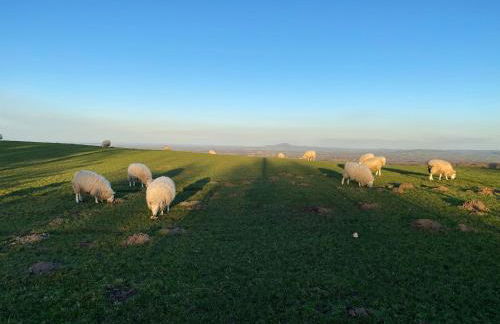 Romantic Cottage with Wood-fired Hot tub and Outdoor Pizza Oven - Foto 40