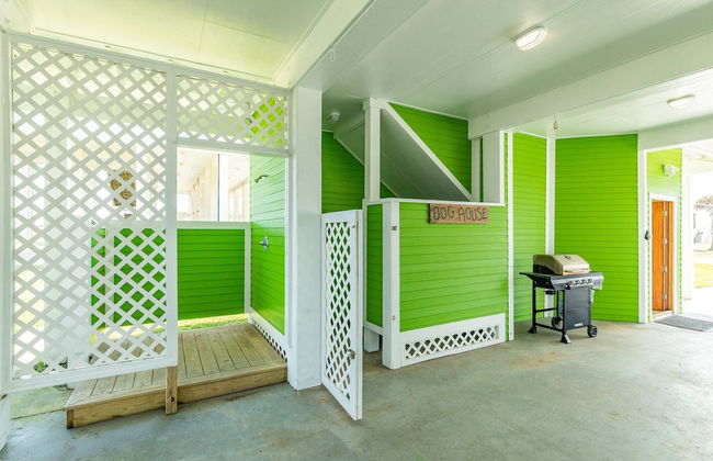 Twist of Lime - Foto 41