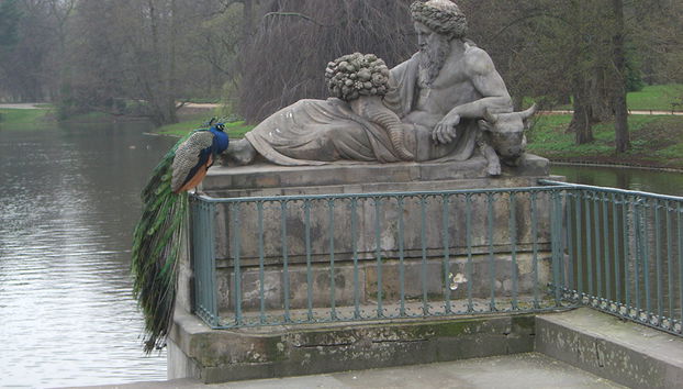 Warsaw, the Capital of Poland - Private - Photo 3