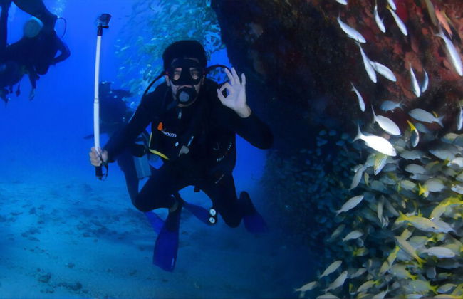 Cultural House - Foto 51