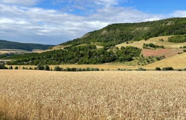 Ferienhaus Jena - Feuer und Flamme - Foto 40