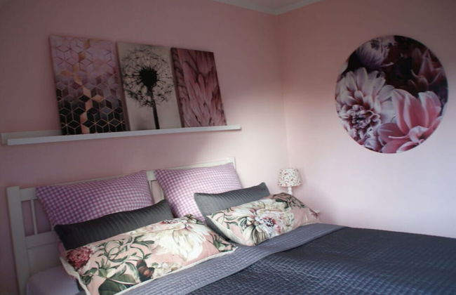 Reethus Star Kicker - Photo 2