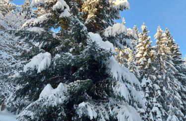 Haus Heidelberg - Foto 49