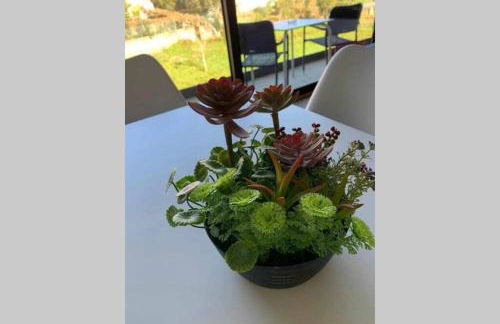 Viana do Castelo - Amonde Village - Casa L - Disfrute da Natureza - Foto 53