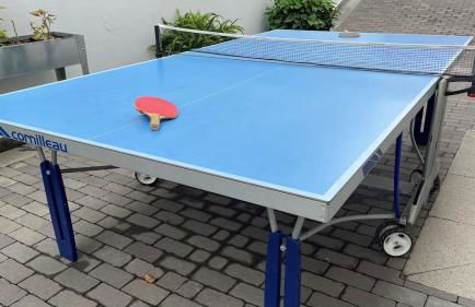 Luxurious villa in Puerto de la Cruz with pool and great views - Foto 18